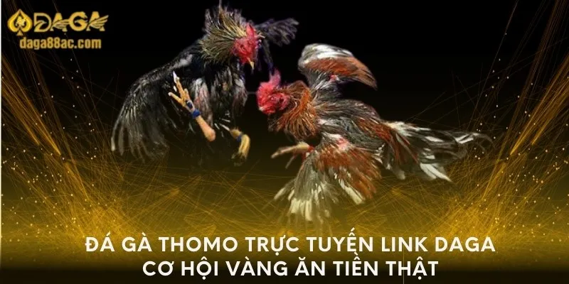 da-ga-thomo-truc-tuyen-link-daga-co-hoi-vang-an-tien-that