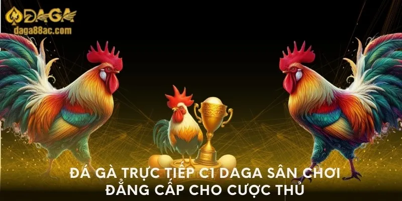 da-ga-truc-tiep-c1-daga-san-choi-dang-cap-cho-cuoc-thu