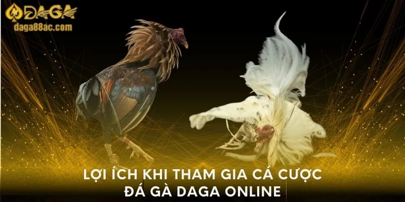 Lợi ích khi tham gia cá cược đá gà DAGA online