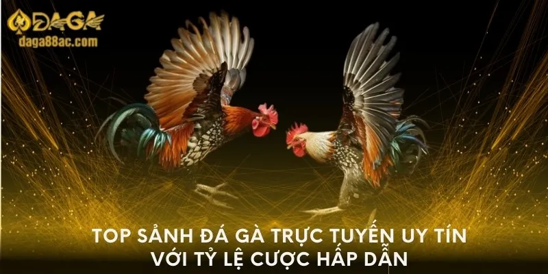 top-sanh-da-ga-truc-tuyen-uy-tin-voi-ty-le-cuoc-hap-dan